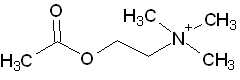 アセチルコリン分子式